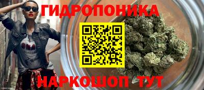 бошки Кимры