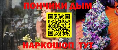 сатива Камышлов