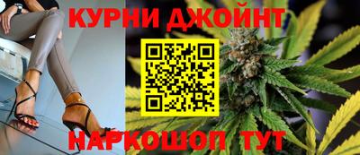 сатива Камышлов