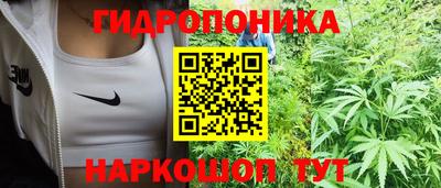 ALPHA PVP Канаш