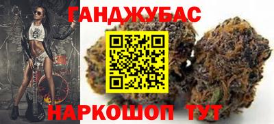 сатива Камышлов